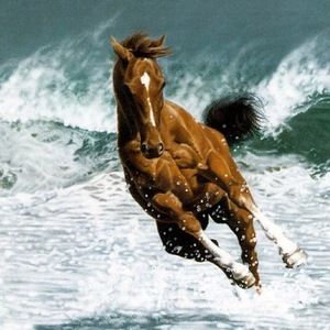 Meet your Posher, Kathryn